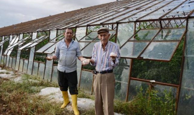 Serik'te dolu seraları vurdu; ürünlere zarar verdi