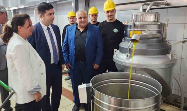 Sezonun ilk zeytinleri işlenmeye başlandı