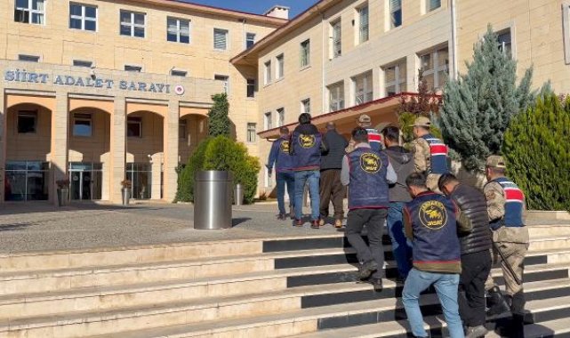 Siirt'te koyun hırsızlığına 2 tutuklama