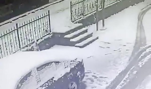 Sokak hayvanlarına yiyecek götürürken kalp krizi geçirdi
