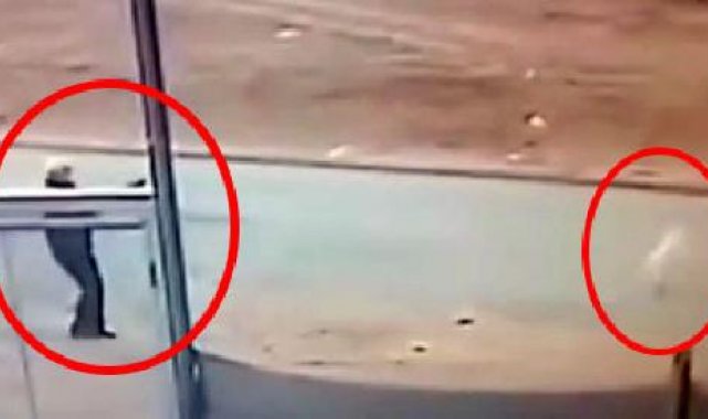 Sokak köpeğini tüfekle öldüren şüpheli gözaltına alındı