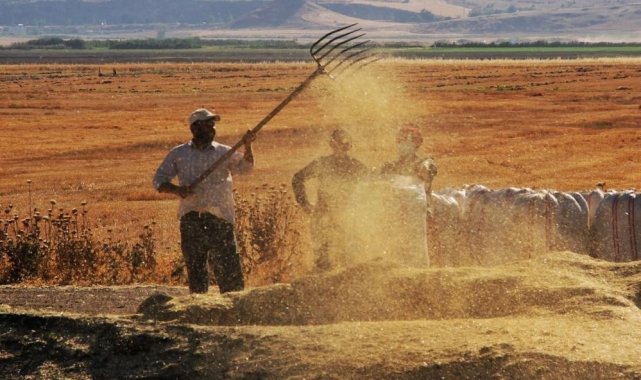 Tarım ürünleri üretici fiyat endeksi yıllık yüzde 62,56 arttı