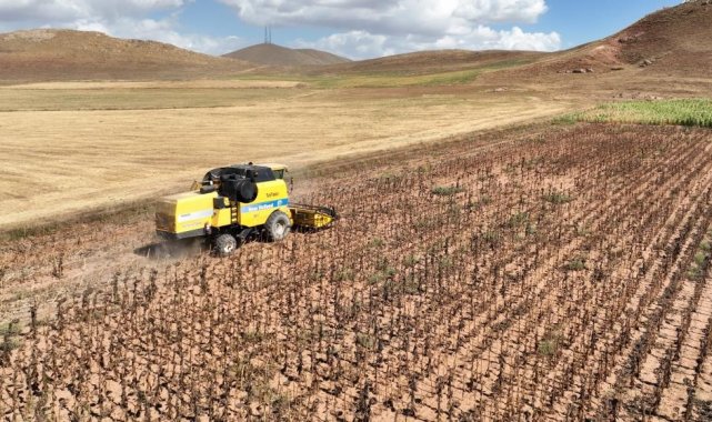 Tarımsal girdi fiyat endeksi yıllık yüzde 40,97 arttı