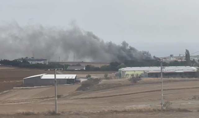 Tekirdağ'da fabrika yangını