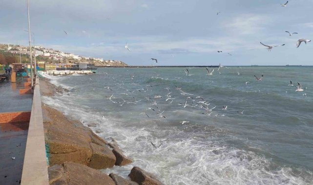 Tekirdağ'da şiddetli lodos: Deniz çalkalanıyor