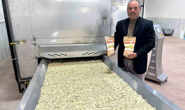 Tomarza'da kabak çekirdeğinde seri üretime geçildi