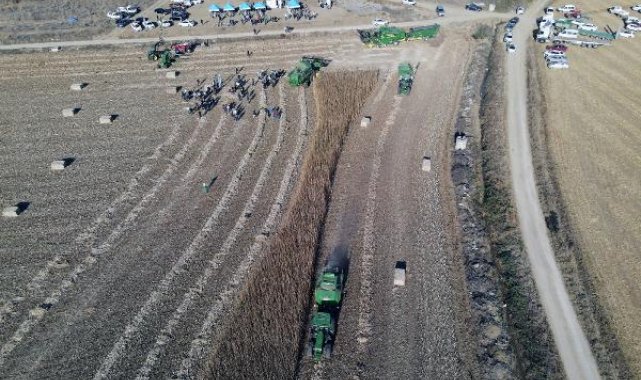 Türkiye'nin ilk tescilli kenevir tohumu 'Narlı' hasat edildi