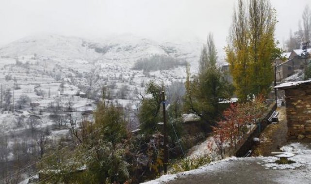 Van'da kar yağışı etkili oldu