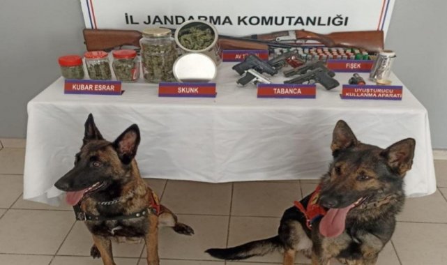 Zonguldak'ta evde uyuşturucu ve ruhsatsız silah operasyonu