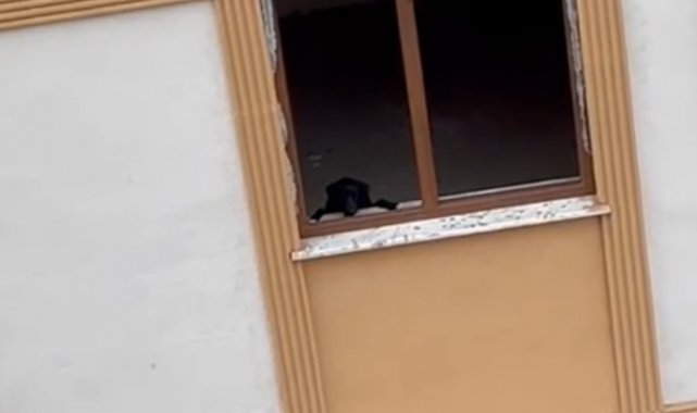 1 daire 3 kişiye satılınca 15 yıldır yıkılamayan binada köpek kurtarma çalışması yapıldı