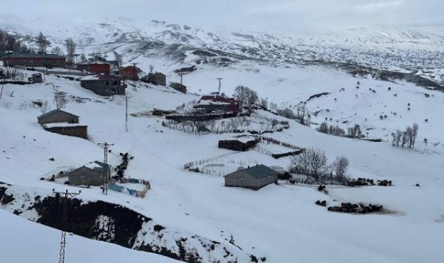 1800 rakımdaki köyde ev ve ahırlar kara gömüldü