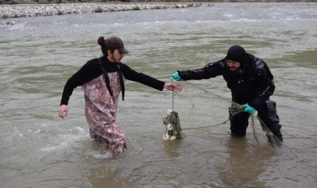 'Batman bantlı çöpçü balığı'nın korunması için çaylarda temizlik
