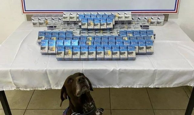 Ağrı'da gümrük kaçağı sigara yakalandı