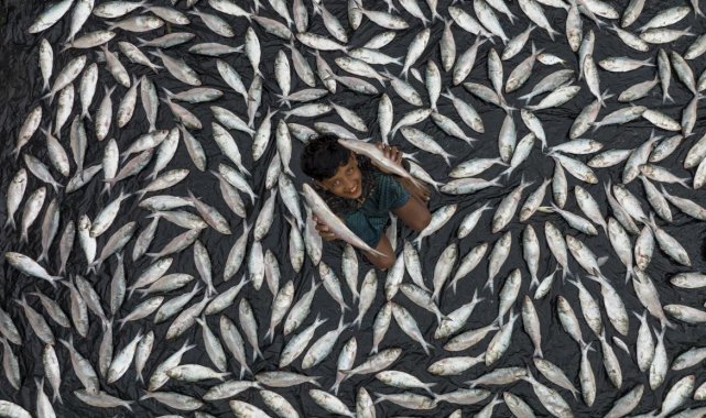 Akdeniz Belediyesinin '3. Uluslararası Fotoğraf Yarışması' sonuçlandı
