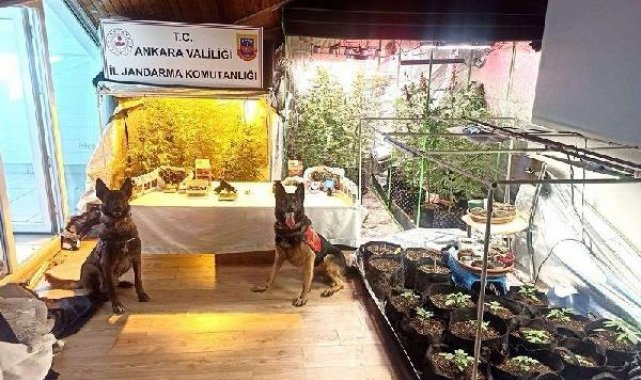 Ankara'da narkotik operasyonu: 5 gözaltı