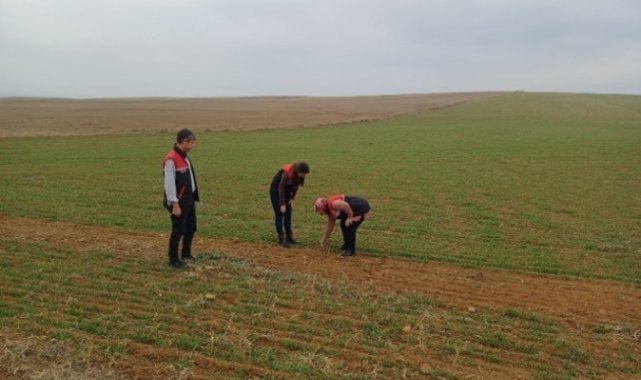 Arazi denetimleri ve çiftçi bilgilendirme toplantıları yapıldı