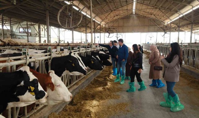 Ardahan'lı 'Süte değer katan kadınlar' Muğla'da
