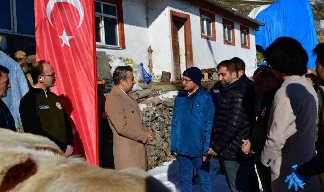 Aşılama ile buzağı ölümlerinin azalması hedefleniyor