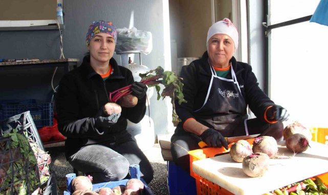 Aydınlı gıda mühendisi pancarın değerini arttırdı