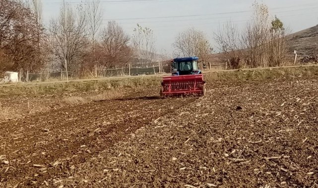 Bin yıllık ata tohumu 'Karakılçık' buğdayı toprakla buluştu