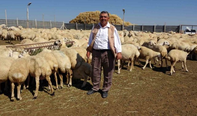 Bu çadır sayesinde hayvan sayısını 2 katına çıkardı