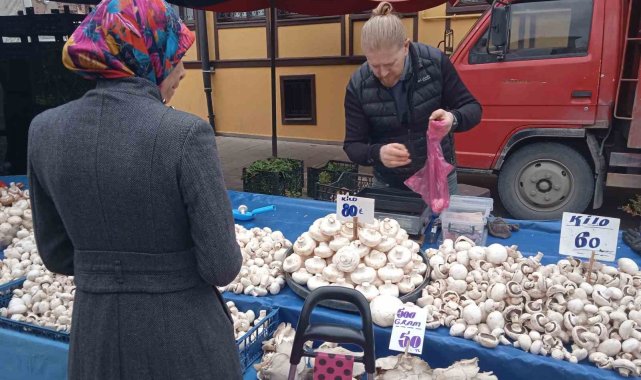 Çeşit çeşit mantarlar pazar tezgâhını beyaza bürüdü