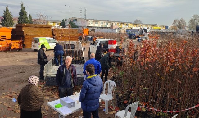 Çiftçilere yüzde 50 hibeli meyve fidanı dağıtımı başladı