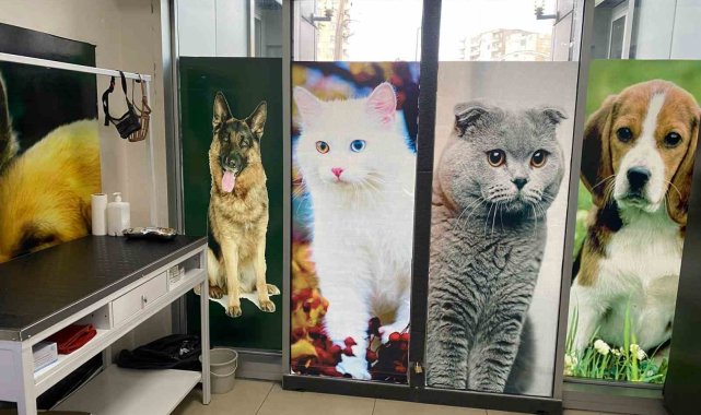 Diyarbakır'da evcil hayvanlar için aşı ve çip uygulama odası açıldı