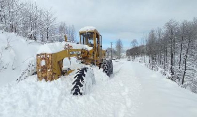 Doğu Karadeniz'de kar; 367 köy yolu kapandı