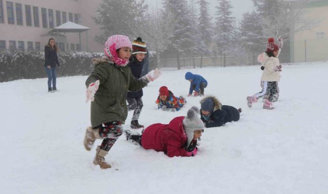 Erzincan'ın Tercan ve Refahiye ilçelerinde kar tatili