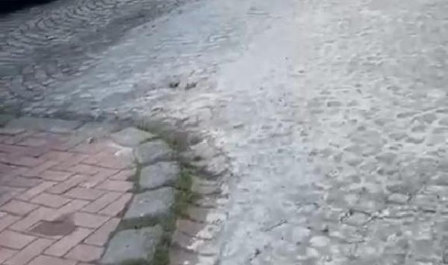 Fatih'te tekerlekli sandalye ile gelip eski eşini vurdu