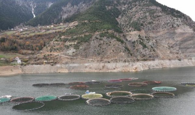 Gümüşhane'nin Karadeniz Türk somonu ihracatı 2 milyar dolara çıktı