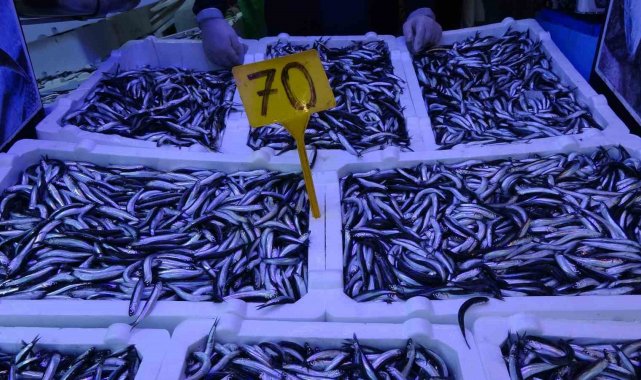 Hamsi avı düşüşe geçti, fiyatı ikiye katlandı