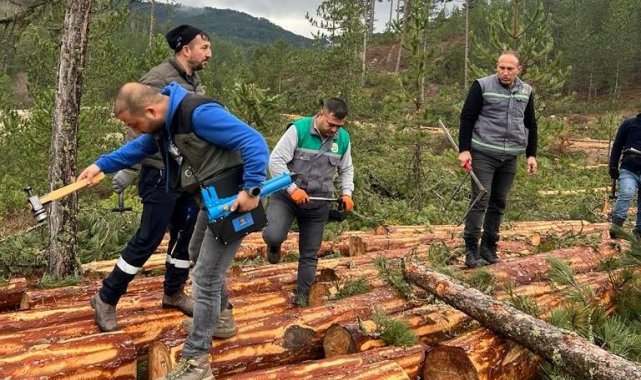 Hisarcık'ta ormandaki ağaçlara barkod uygulaması