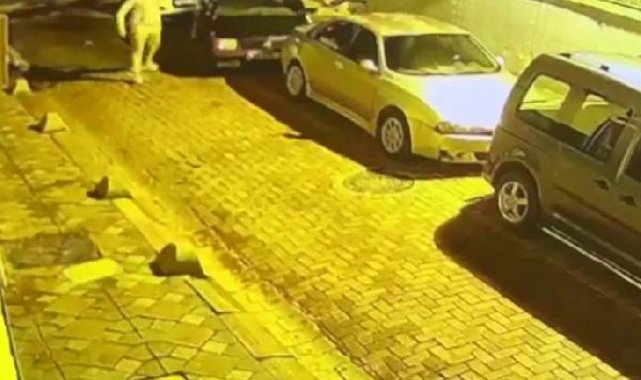 İstanbul'da bir günde 3 araç çalan şüpheli yakalandı