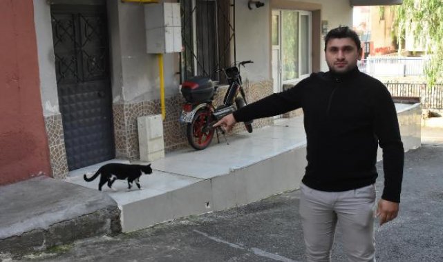 İzmir'de, sokak kedisine keserli saldırı kamerada