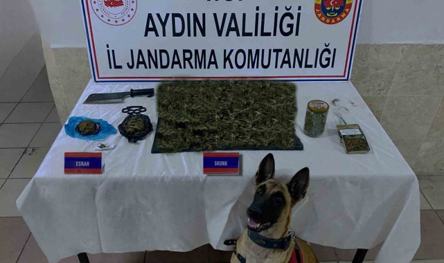 Jandarmadan uyuşturucu operasyonu: 65 gözaltı
