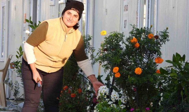 Kadın eli değen konteyner kent sokakları yeşile büründü