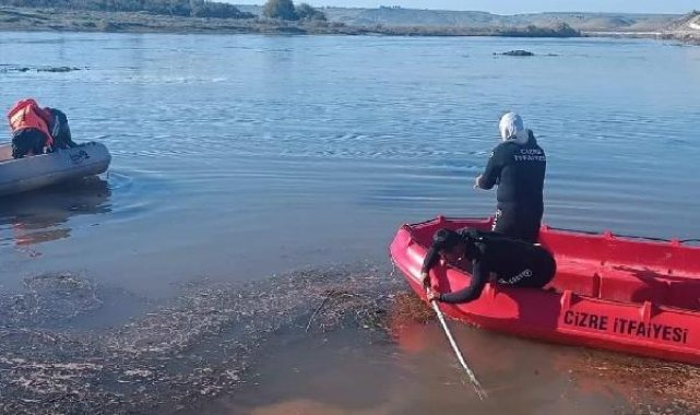 Kardeşiyle Dicle Nehri'ne atlayan Zelin'i arama çalışmalarında 8'inci gün