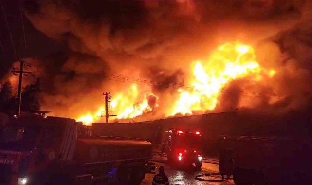 Kocaeli'de çıkan yangın tüm fabrikayı sardı, gecenin karanlığı alevlerle aydınlandı