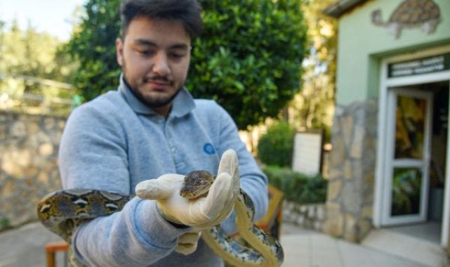 Koruma altındaki 'egzotik' hayvanlara ziyaretçi yoğunluğu