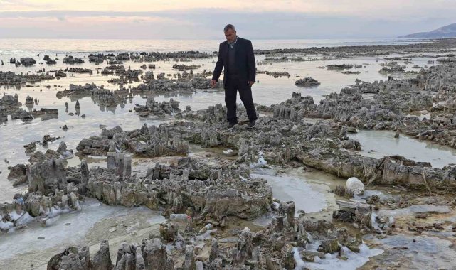 Kuraklık Van Gölü sahilini mikrobiyalit tarlasına dönüştürdü