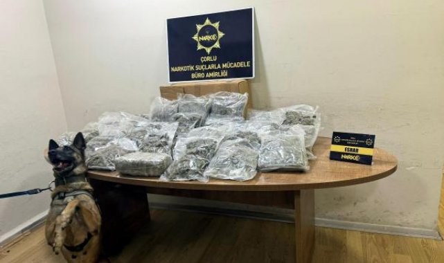 Manavda, sebze ve meyve kasalarının altına gizlenen 15 kilo esrarı 'Larissa' buldu