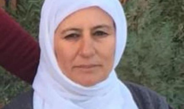Mardin'de otomobilin çarptığı kadın öldü