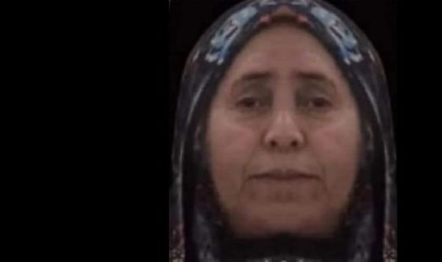 Mardin'de yolun karşısına geçerken otomobilin çarptığı kadın öldü