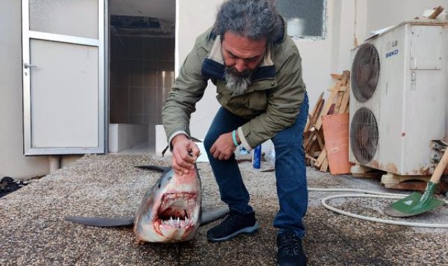 Mersin'de kıyıya vuran nesli tükenme tehlikesi altındaki köpek balığı öldü