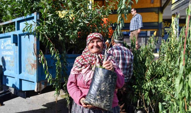 Mersin'de üreticilere badem fidanı desteği