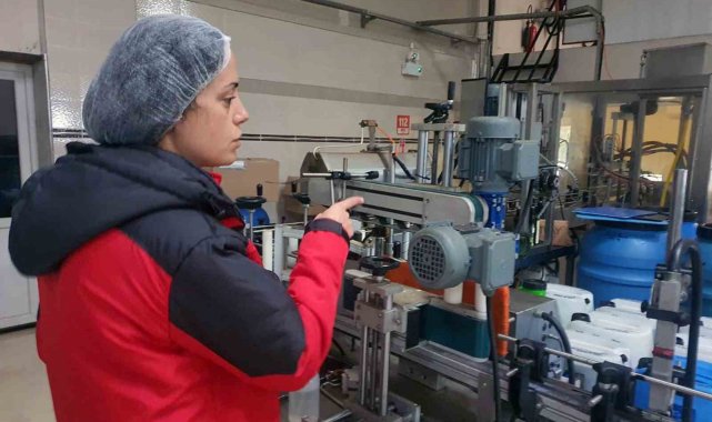 Muğla Tarım Müdürlüklerinden zeytin ve zeytinyağı denetimi