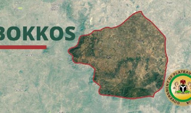 Nijerya'daki silahlı saldırıda ölü sayısı 140'ı geçti