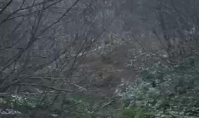 Ormanda çalışan görevliler, heyelanda toprak altında kalmaktan son anda kurtuldu